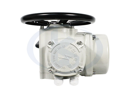 Z型多回轉(zhuǎn)電動執(zhí)行器