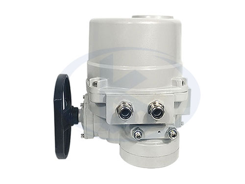 角行程電動執(zhí)行器